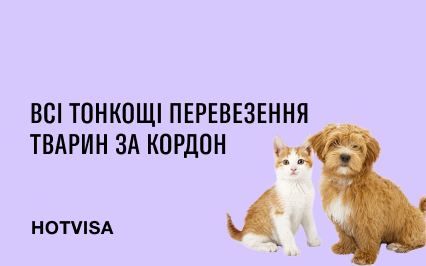 Все тонкости перевозки животных за границу