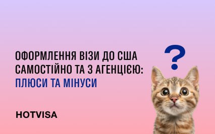 Оформление визы в США самостоятельно и через агентство: плюсы и минусы